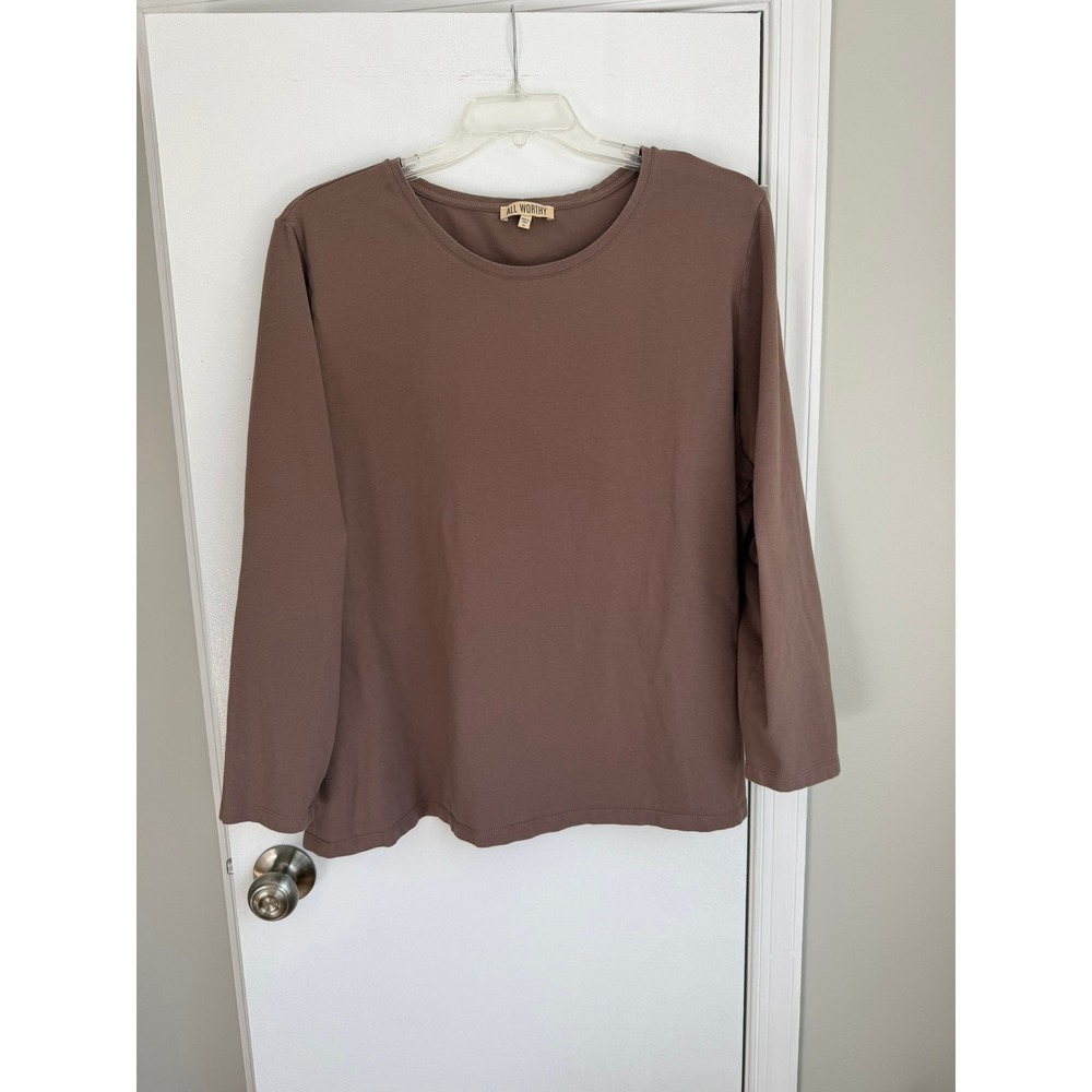 All Worthy Womens 3X Long Sleeve Cotton Stretch Crew Neck Top Chocolate Brown